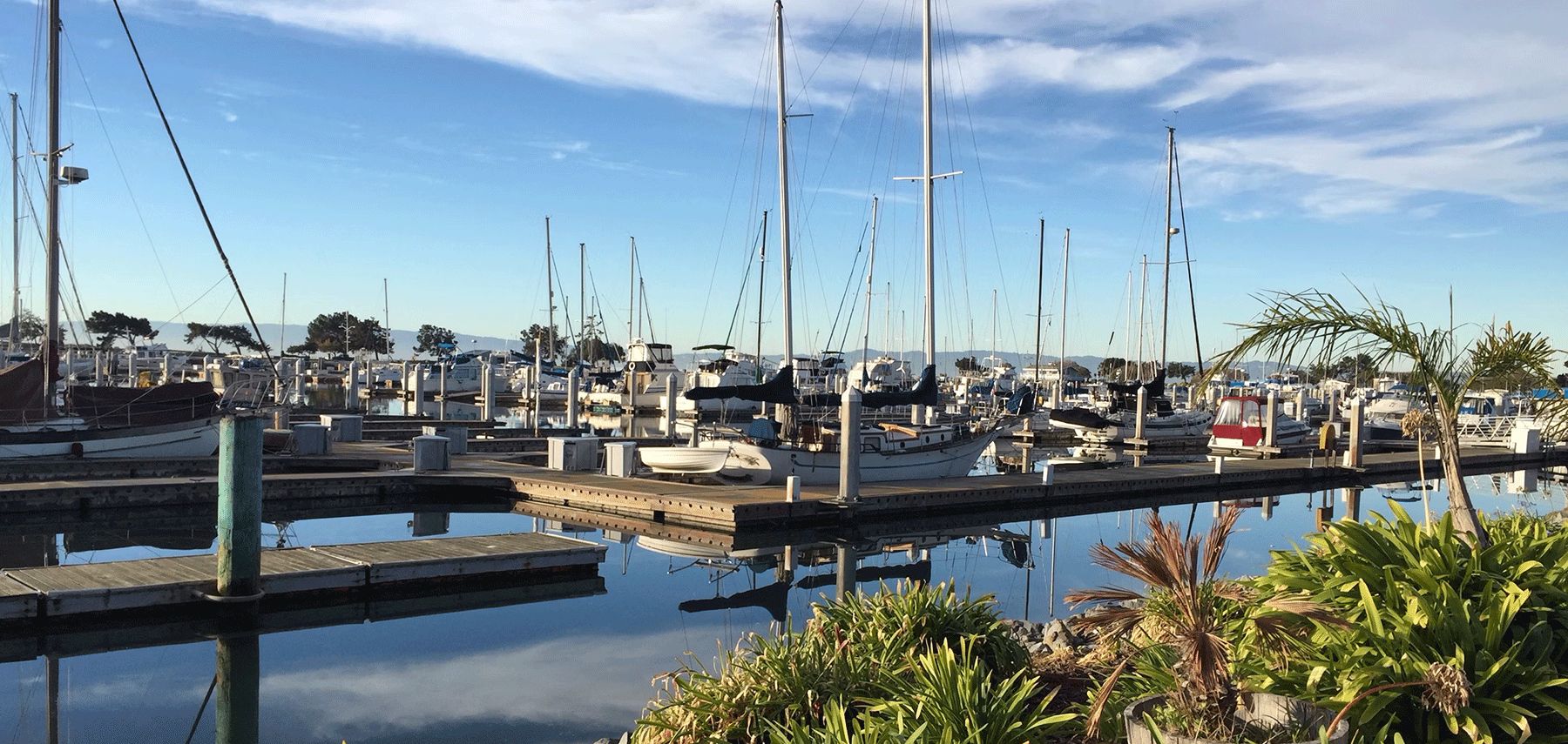 Professional webcam hosting services for marinas and yacht clubs showing docked boats