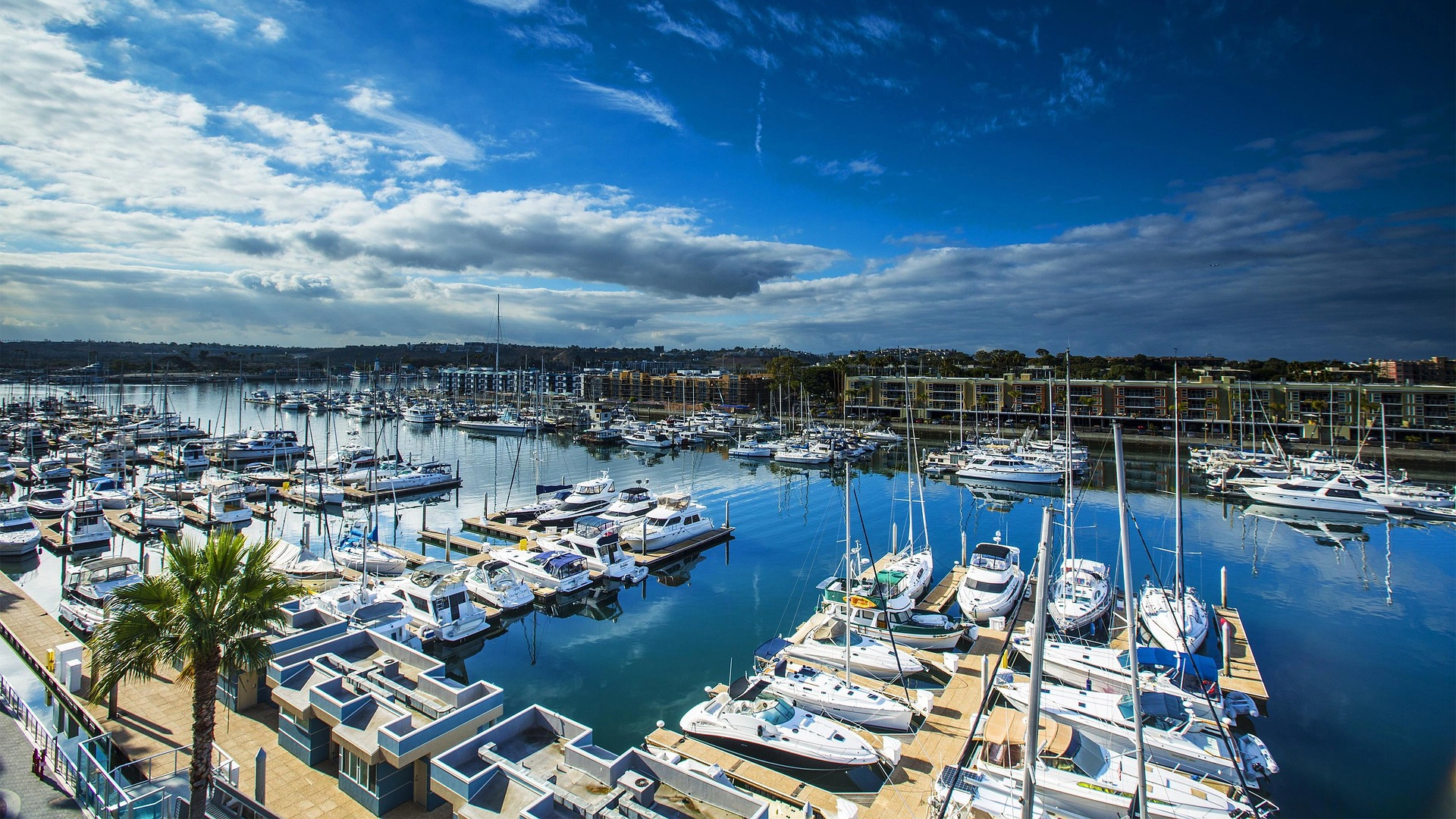 Professional marina webcam hosting system with HD harbor views
