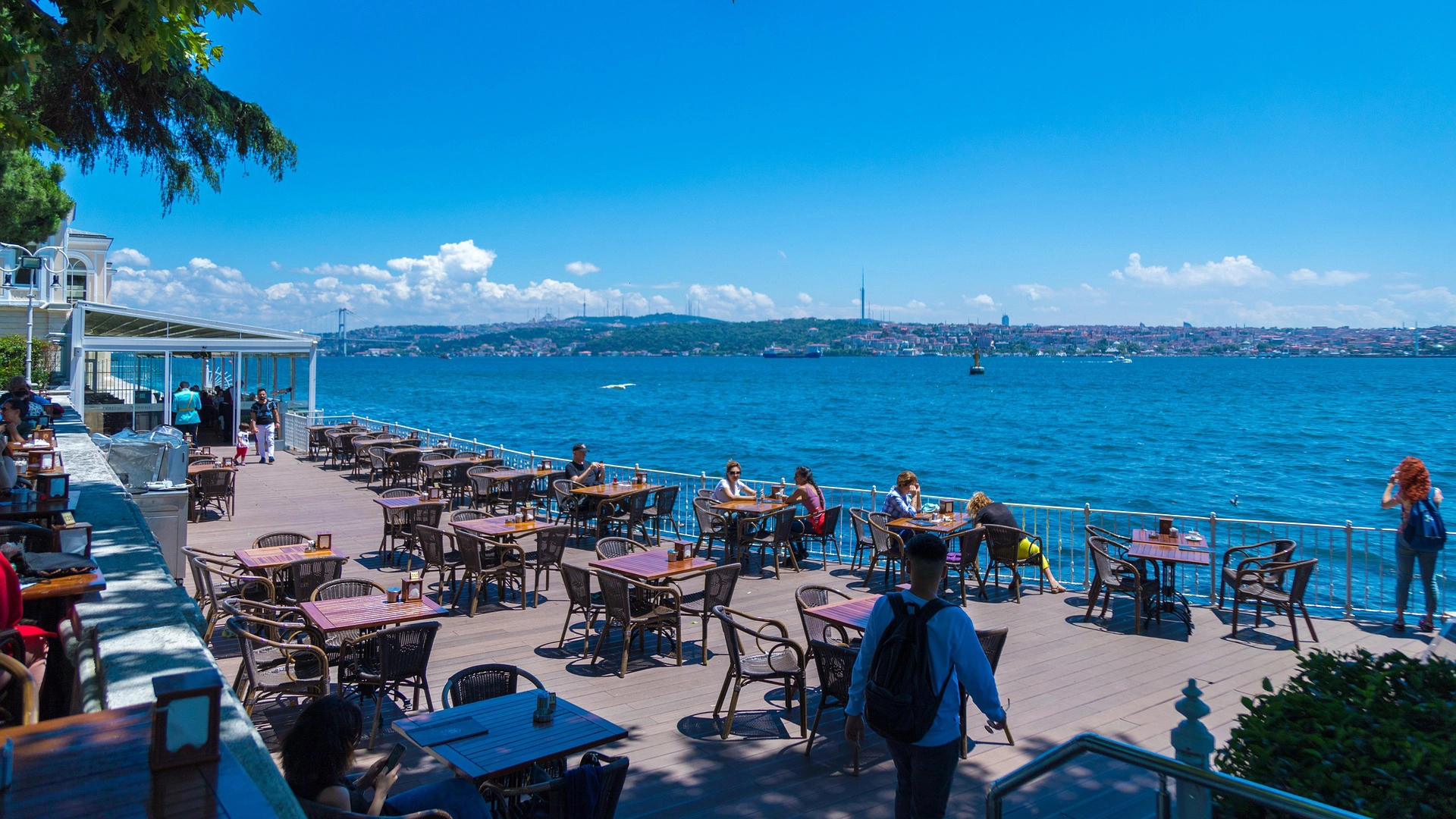 Professional restaurant webcam hosting system